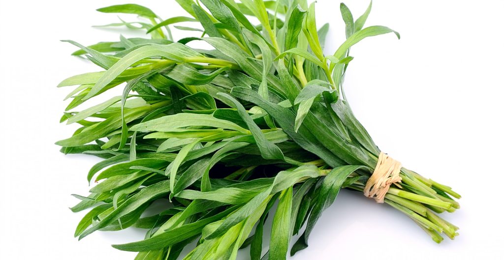 Sbohem, chuť na svačinu, s touto aromatickou rostlinou, která přirozeně potlačuje chuť k jídlu!