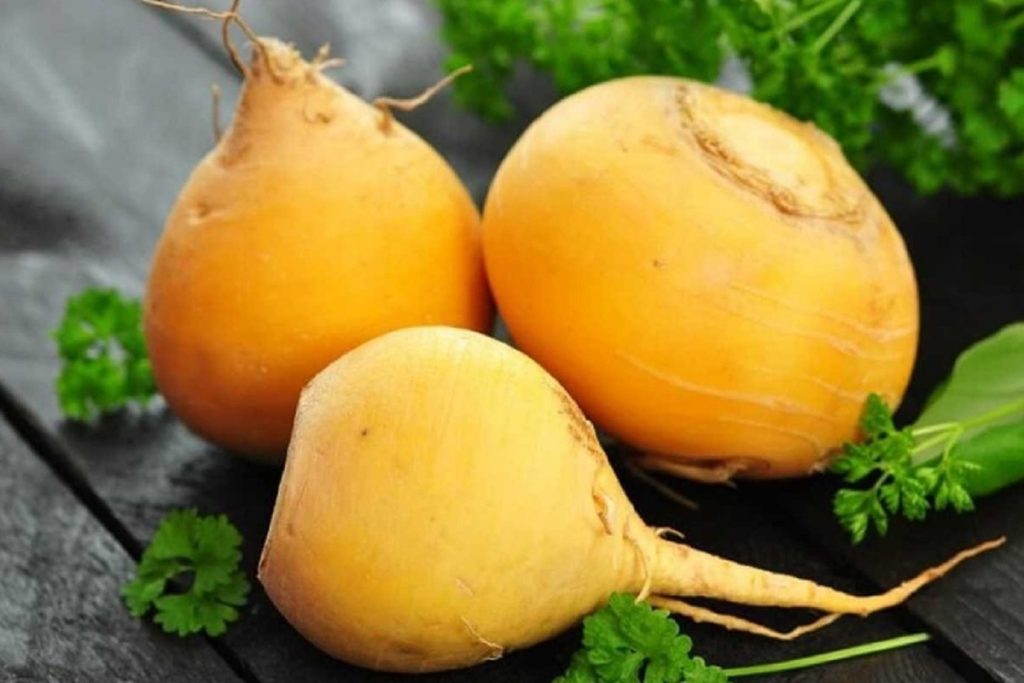 Po dlouhá léta byl spojován s kuchyní chudých. Je to užitečná zelenina pro lidi s vysokým krevním tlakem, srdečními chorobami a onemocněními střev.