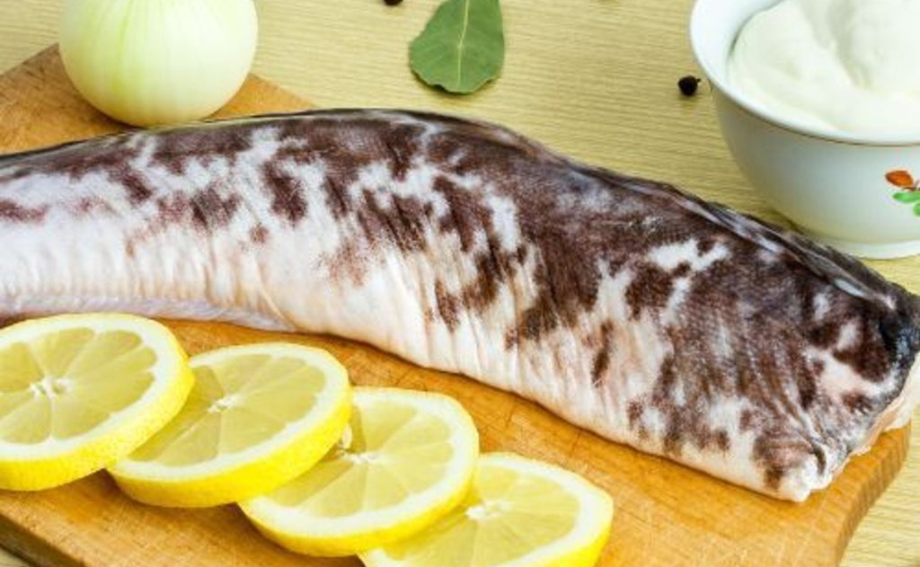 Tato ryba — je opravdovým pokladem. Žije v čistých vodách, má málo kostí a je velmi chutná.