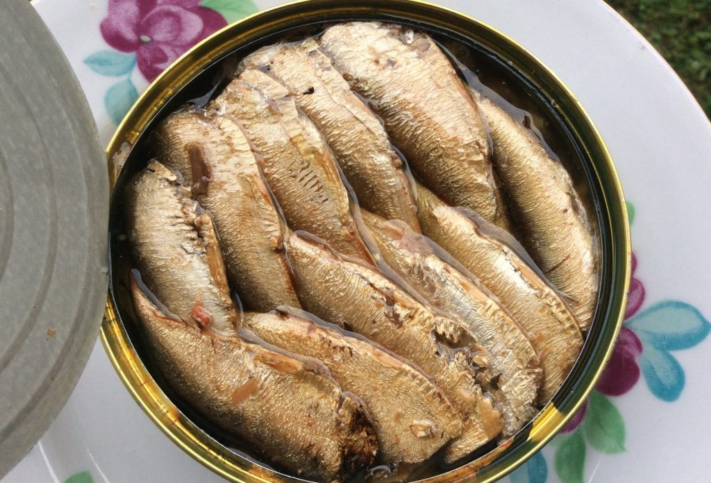Lepší, zdravější a levnější než losos a treska. Češi tyto ryby podceňují