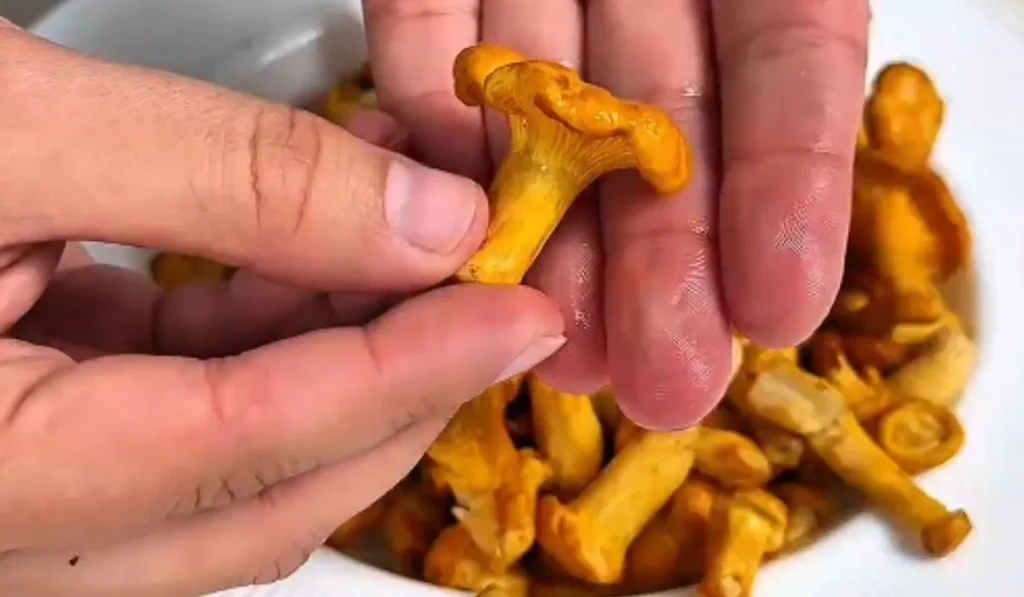 Jak očistit houby? Použijte produkt z kuchyňské skříňky