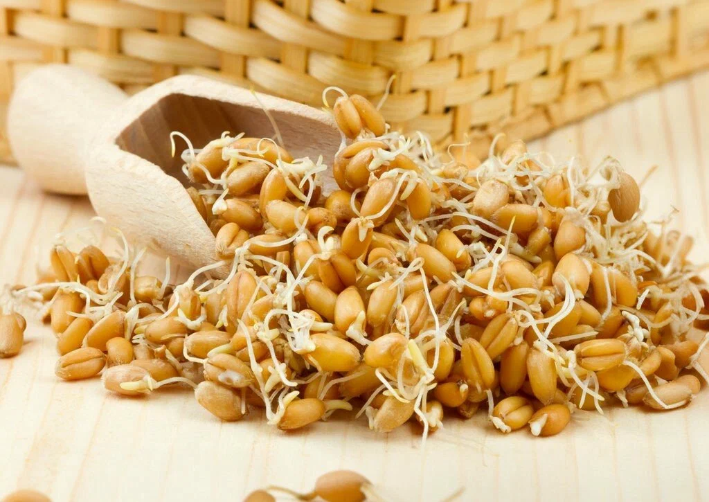 Jak používat pšeničné klíčky k prevenci cholesterolu a zlepšení trávení