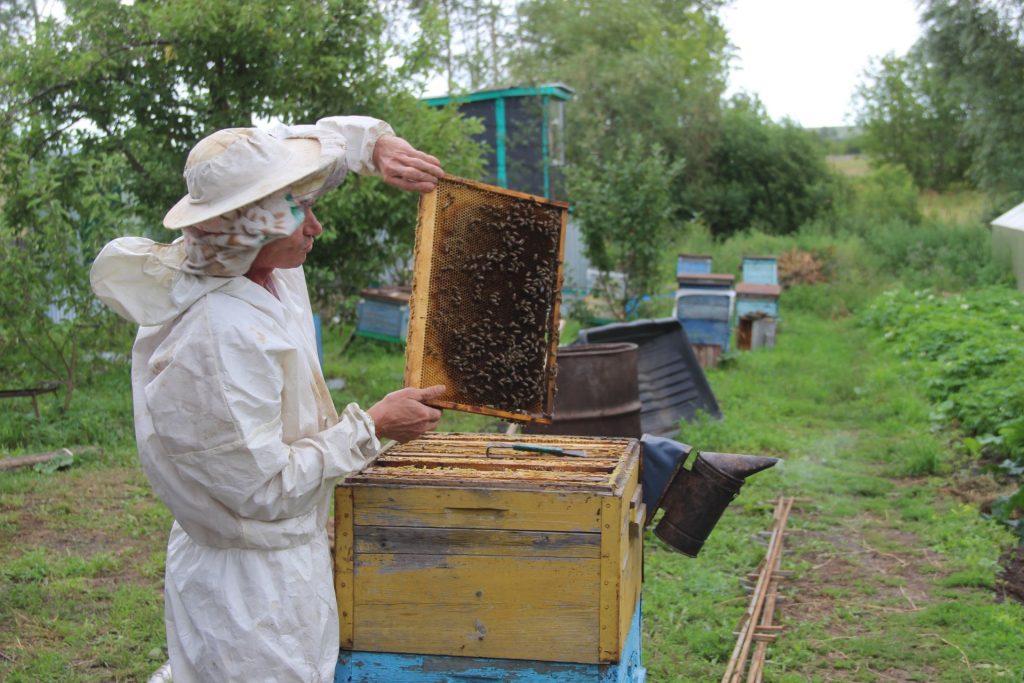 Zeptali se včelaře, jestli je med škodlivý pro zdraví. „Nejhorší produkt včelařství“