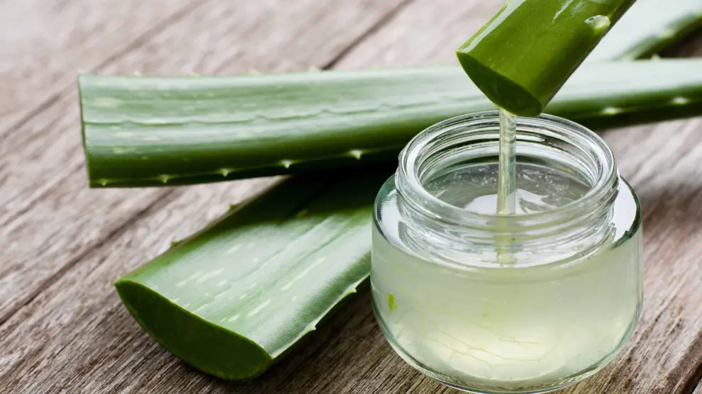 Jak připravit krém na obličej s aloe vera pro tvorbu kolagenu a péči o pleť.