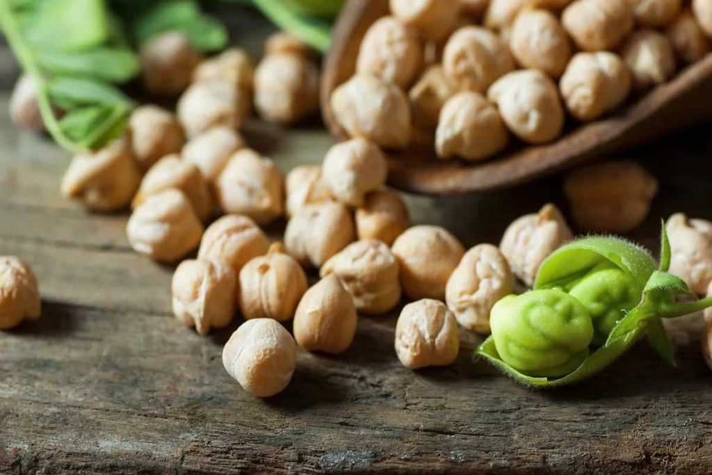 5 vegetariánských potravin, které lze kombinovat s cizrnou pro zvýšení příjmu bílkovin
