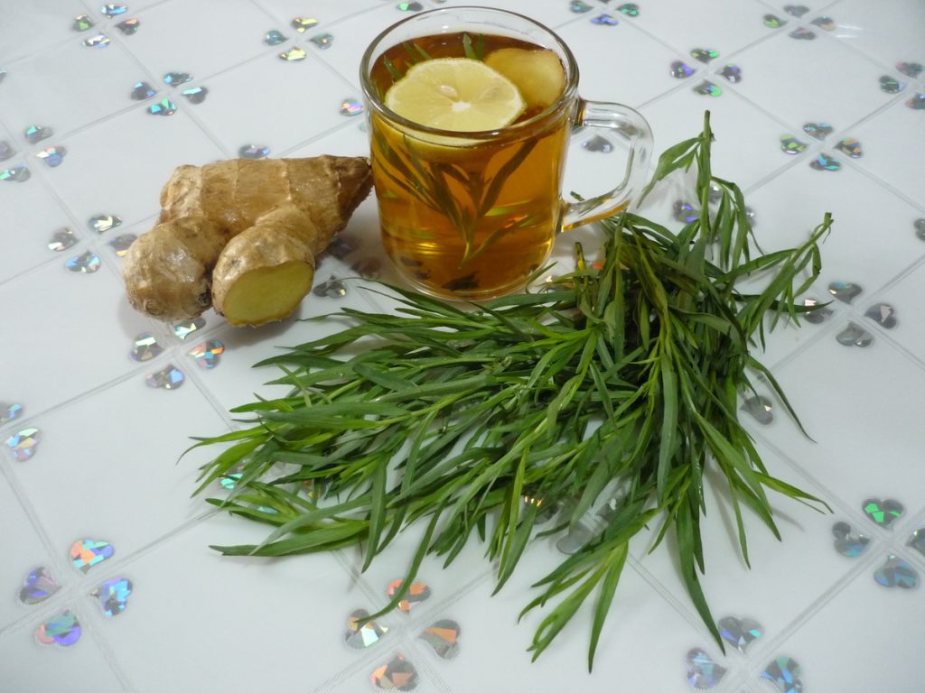 Sbohem, chuť na svačinu, s touto aromatickou rostlinou, která přirozeně potlačuje chuť k jídlu!